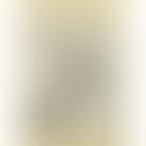 COMIC STRIP "PIRON'S SECRET" (preview)