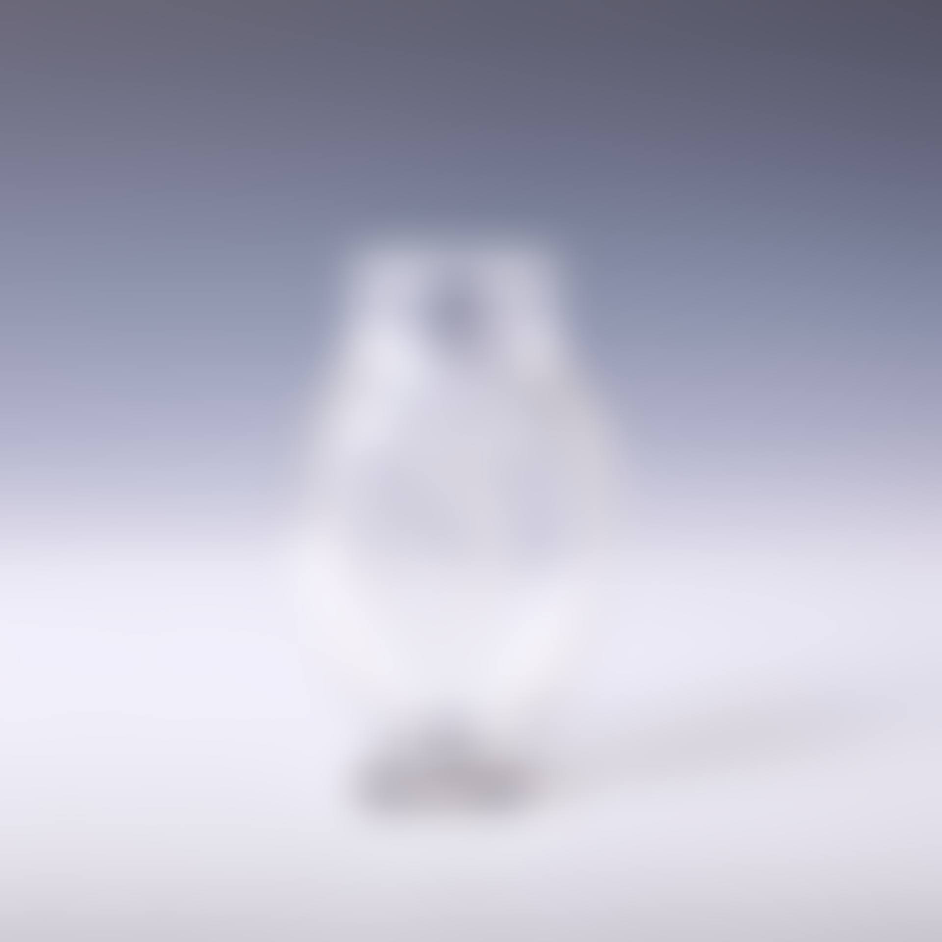 VENUS VASE (preview)