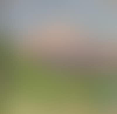 A Landscape, in the Background the Wild Kaiser Mountains (preview)