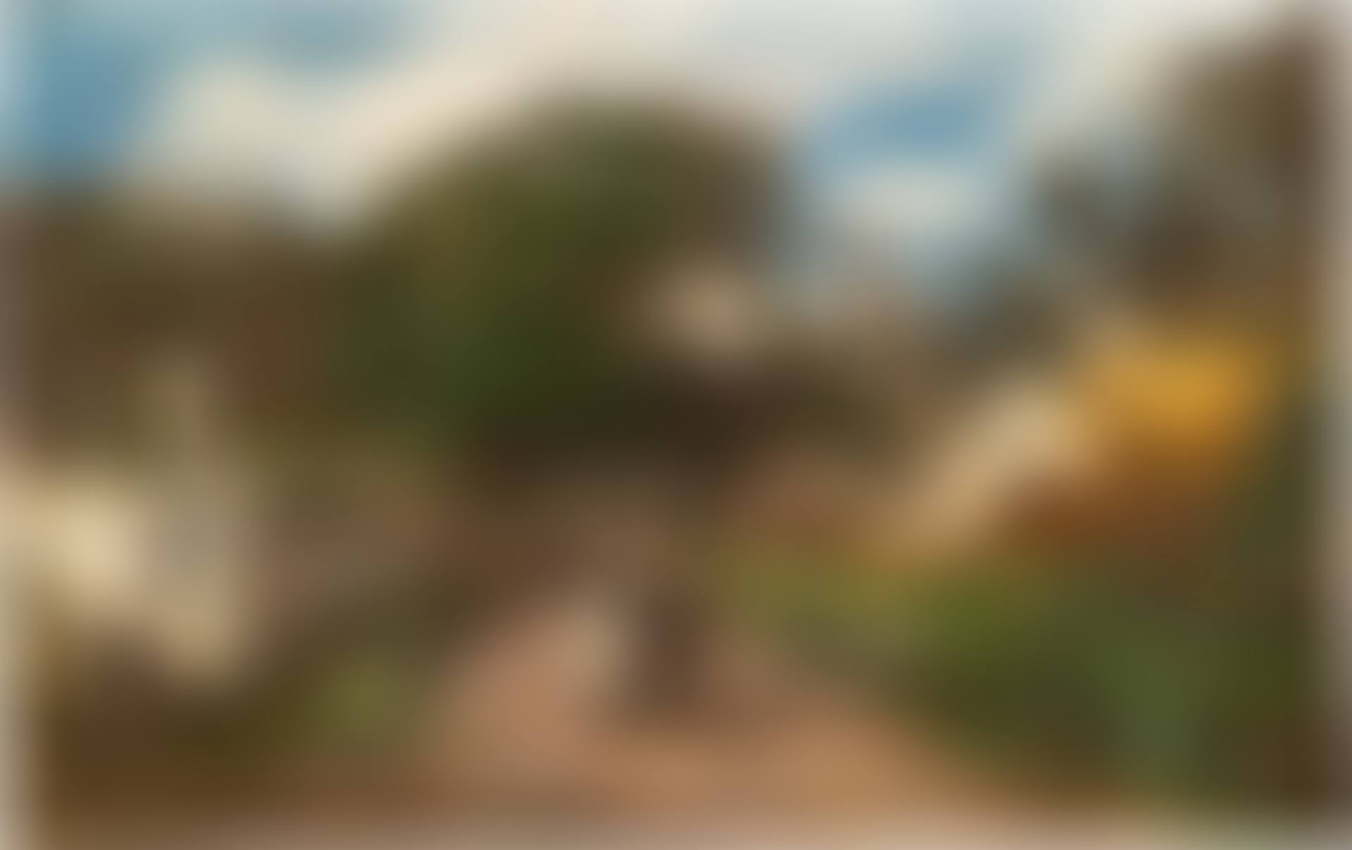 Route aux environs de Quimper (preview)