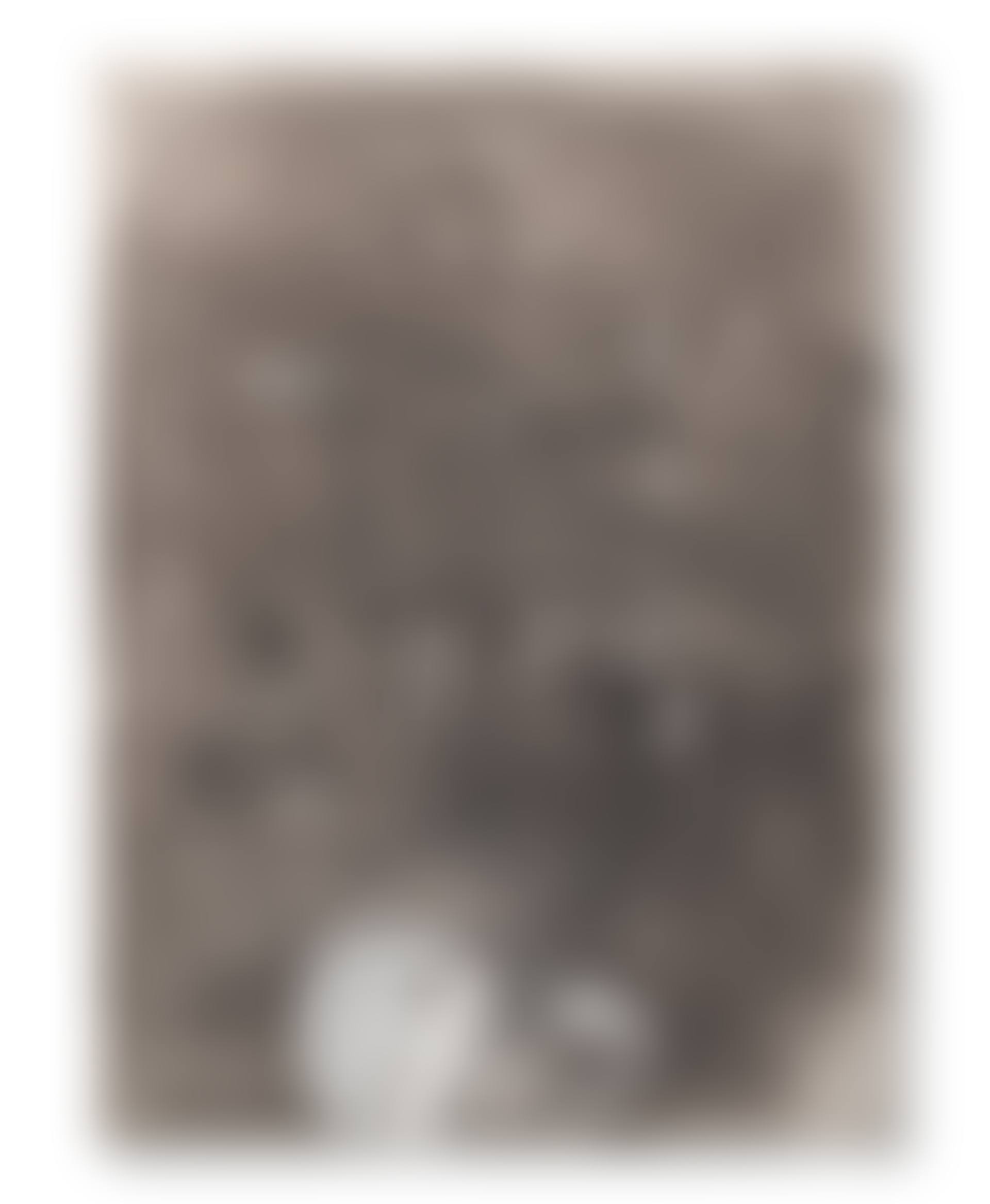 White Writings (preview)