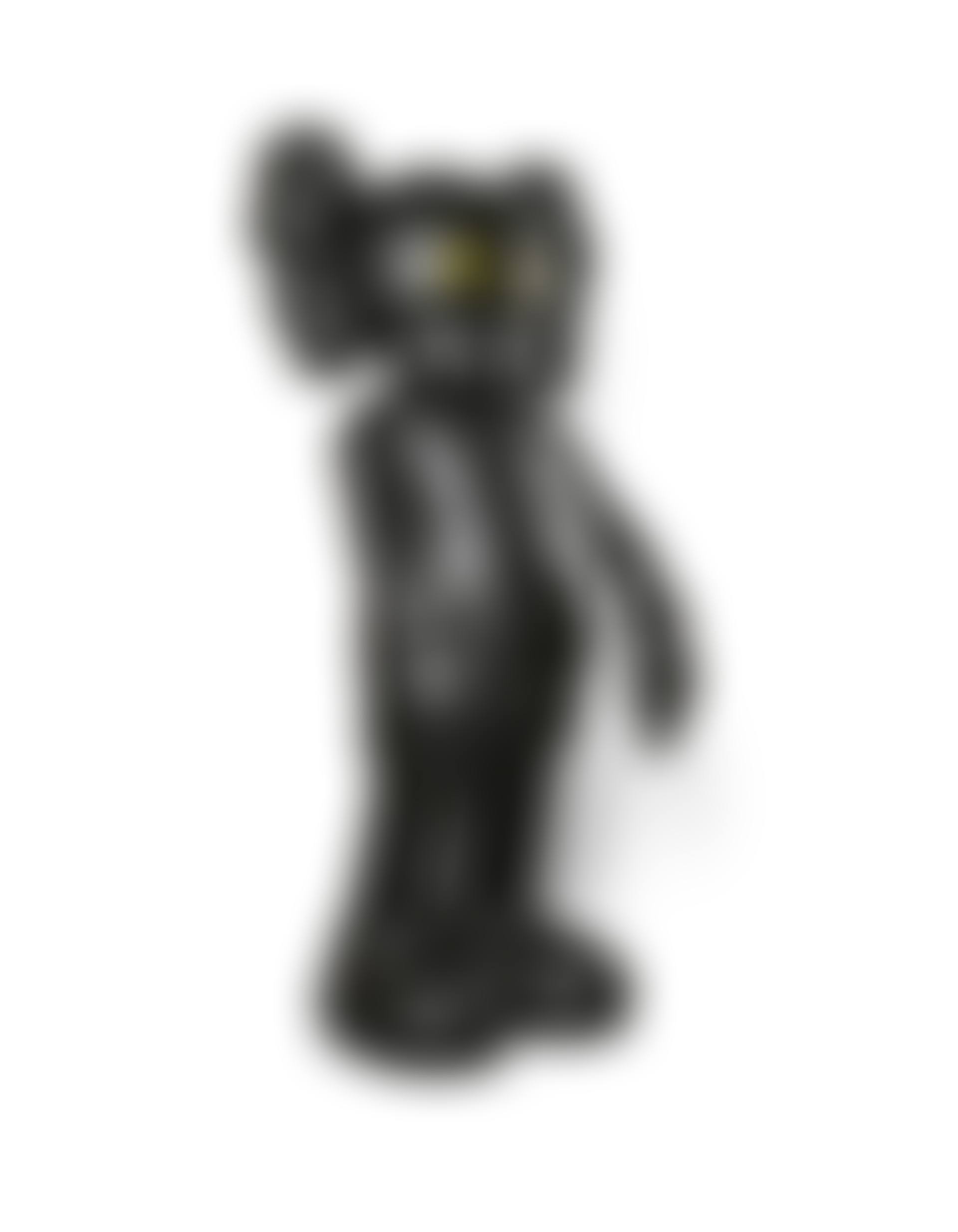 Four Foot Companion (Black) (preview)
