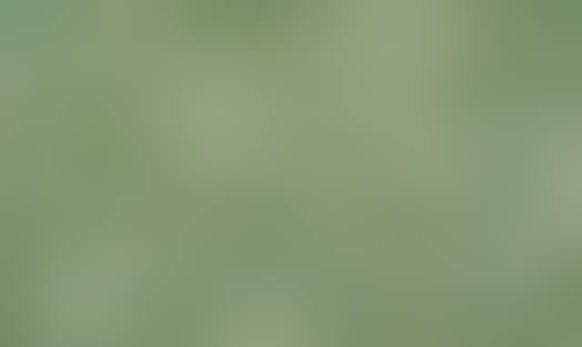 Figure vert en repos (preview)