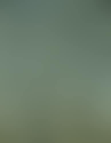 Composition (preview)