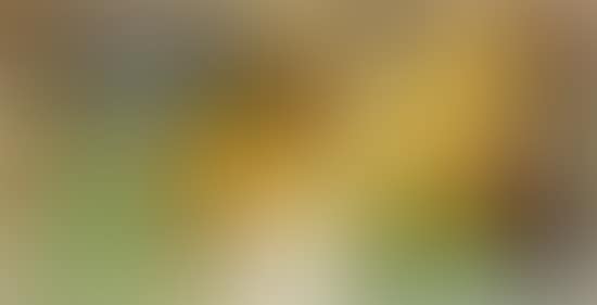 Composition (preview)
