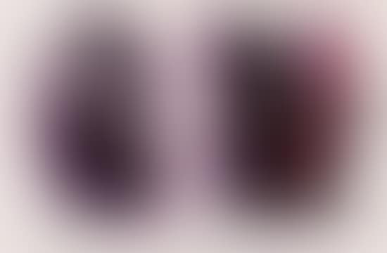 Sans titre (preview)