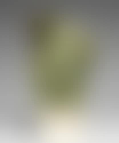 Aesclepios (preview)
