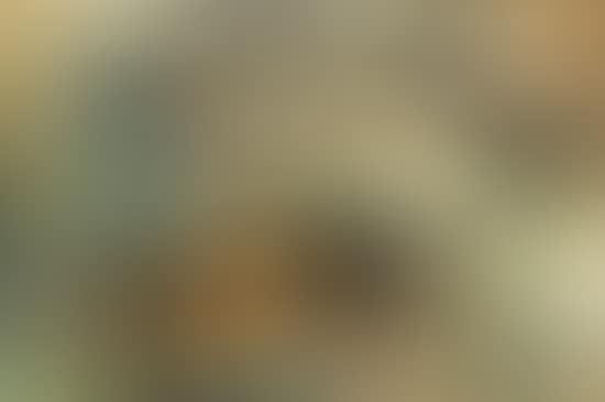 Truites (preview)