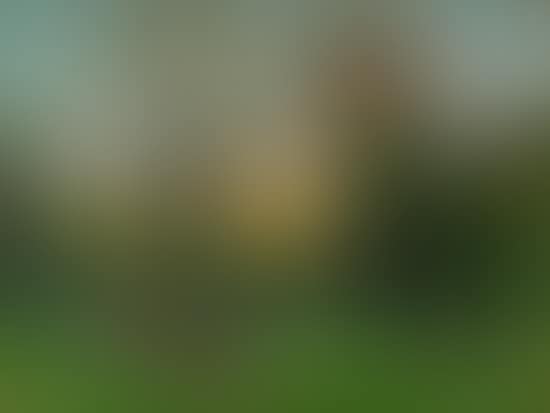 Les vaches au pre (preview)
