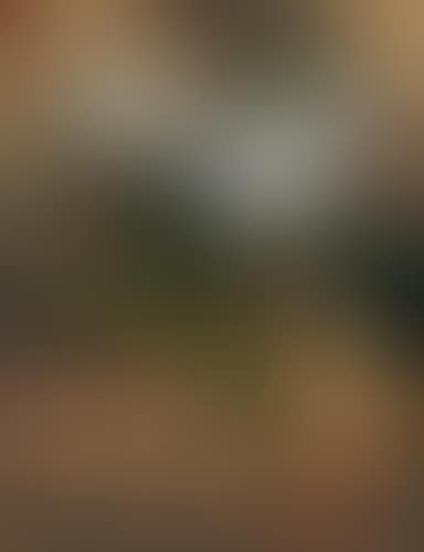 Composition aux personnages (preview)