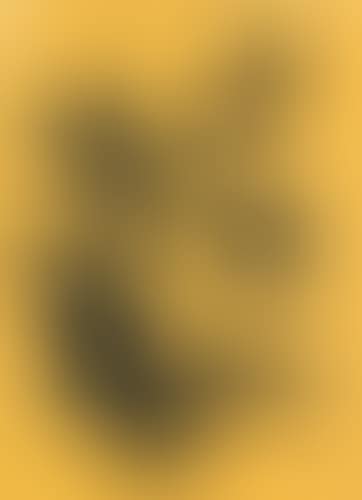 Composition (preview)