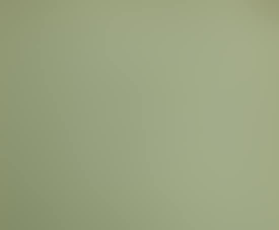 Oiseau loplop (preview)