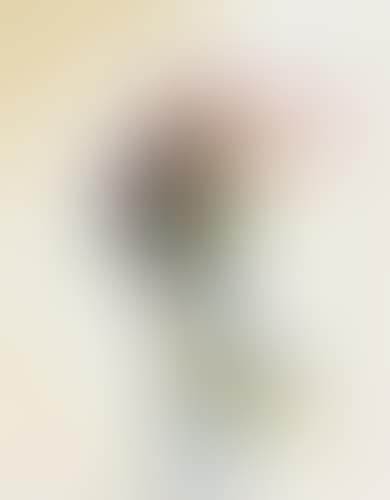 Sans titre (preview)