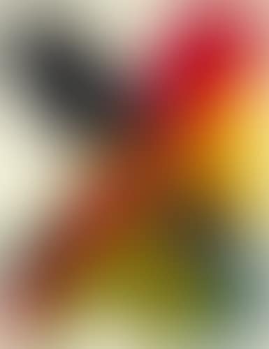 Phenomena when last seen (preview)