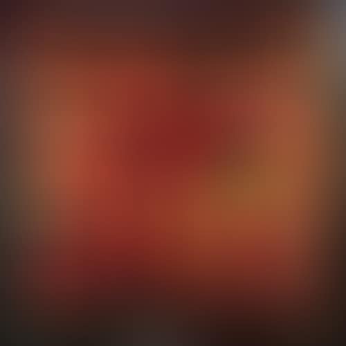 Rajasthan (preview)