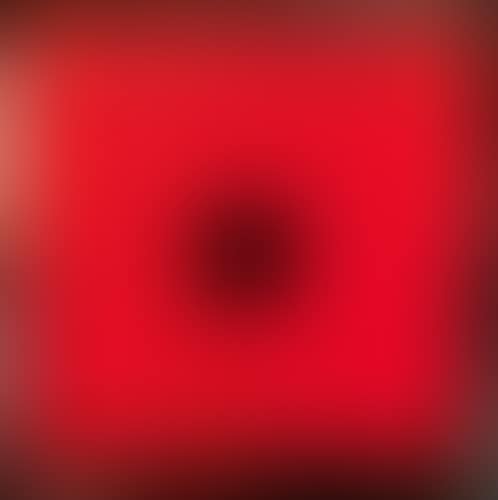 Bindu (preview)