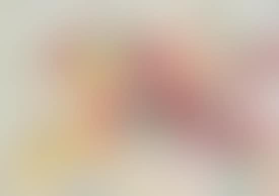 Bouquet de roses dans un vase (preview)