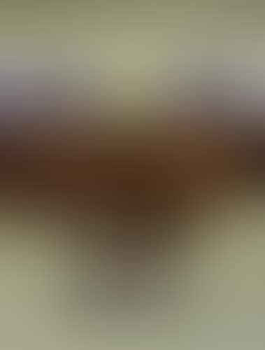 Visage (preview)