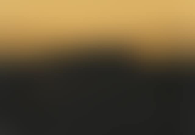 Le projet de San Francisco (preview)