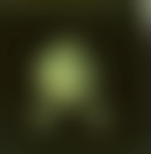 Untitled (Hydrant) (preview)
