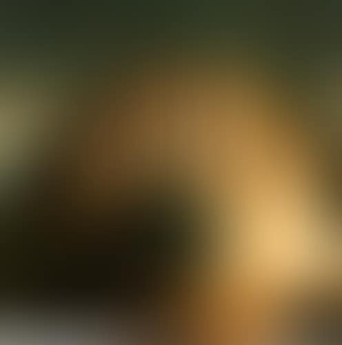 Untitled (Hydrant) (preview)