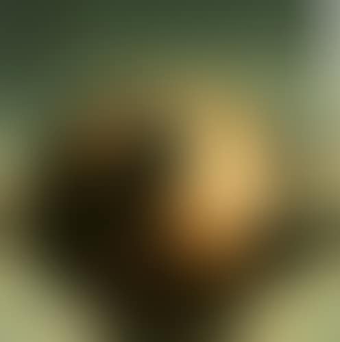 Untitled (Hydrant (preview)
