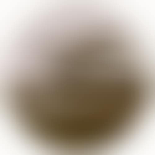 Untitled - Early airplane (preview)