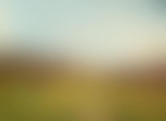 Paysage animé (preview)