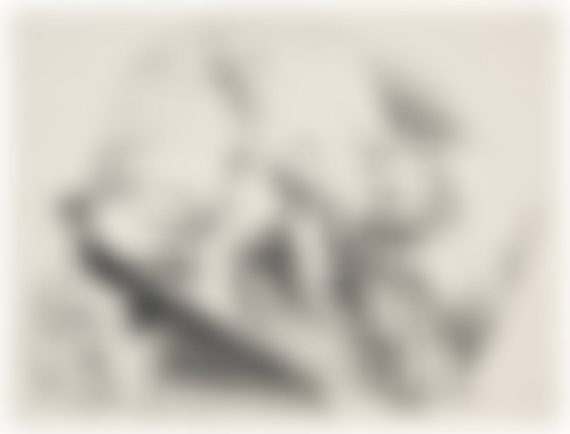 Still Life (Stilleben), from Die Schaffenden (preview)