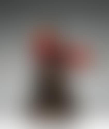 Compression dirigée (preview)