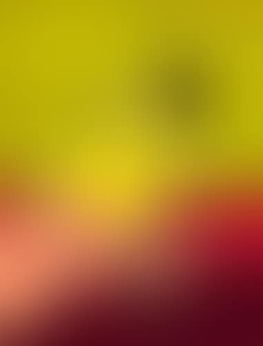 Disegno d'estate (preview)