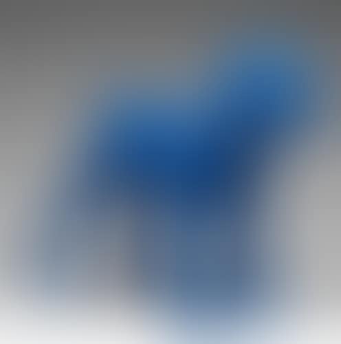 Cloned Schnauzer with Boots (preview)