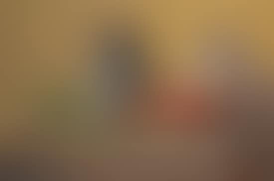 Nature Morte (preview)