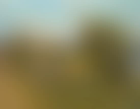 Paysage (preview)