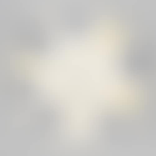 Visage aux feuilles (preview)