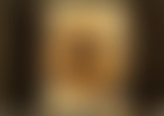 Don Canuto (preview)