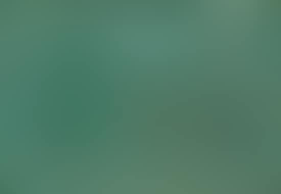 Paysage (preview)