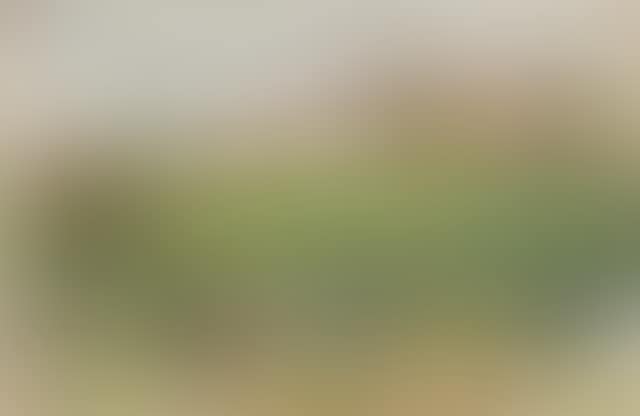 Paysage d'automne, le Fleix (preview)