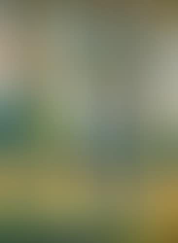 Paysage aux peupliers (preview)