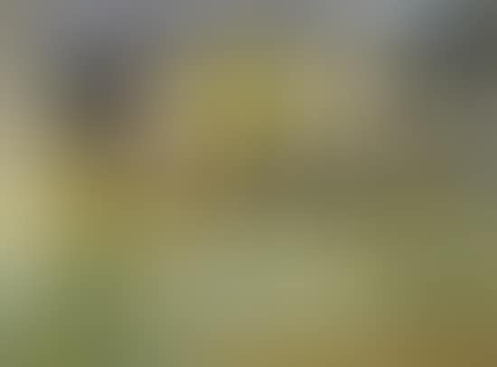 Quai de Paris (preview)