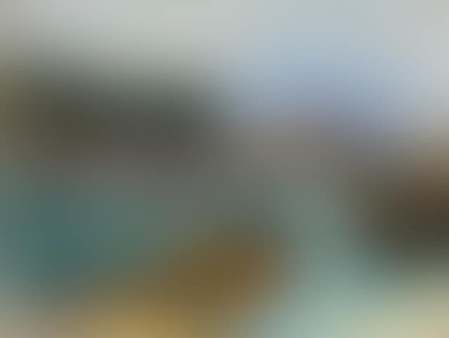 Paris Pont sur la Seine (preview)
