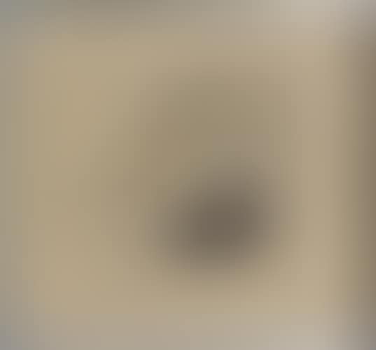 Nature morte (preview)