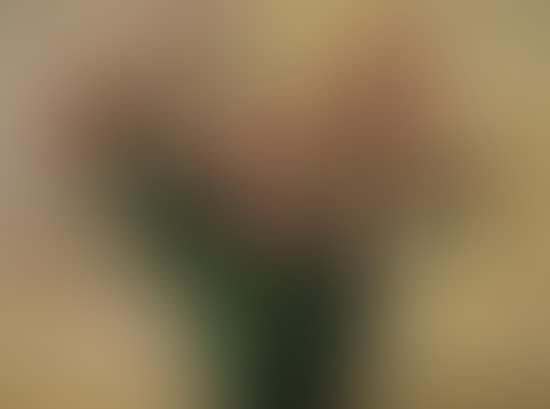 Vase de roses (preview)