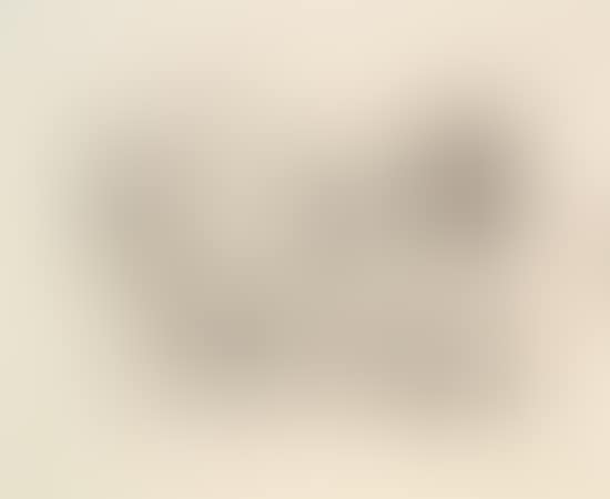 23 mai (preview)