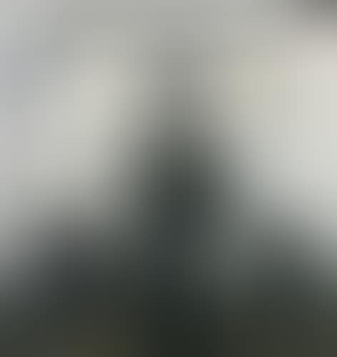 Autoportrait (preview)