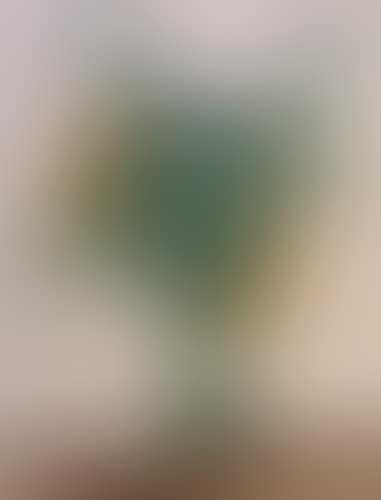 FAUNE, (preview)
