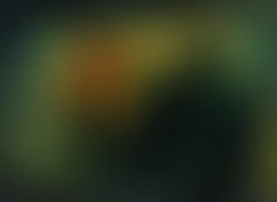 Nature morte (preview)