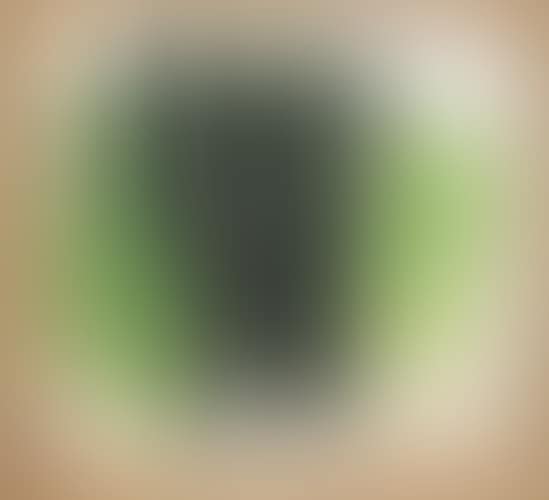 Les arbres I (preview)