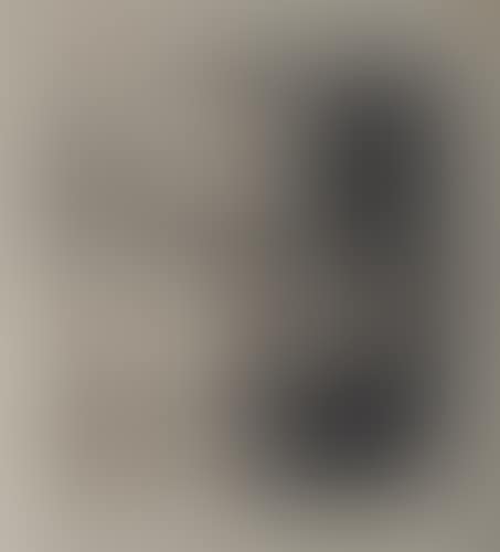 SANS TITRE (AUTOPORTRAIT) (preview)