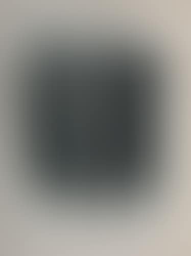 L 95 (preview)